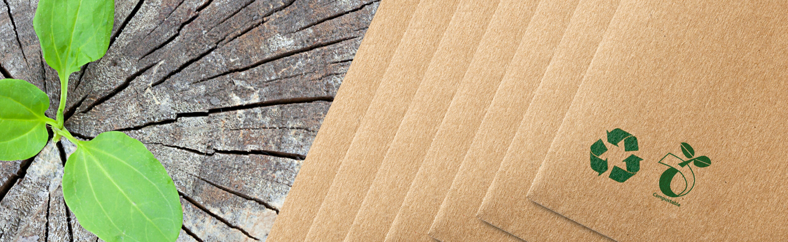 Breaking Down Compostable Packaging GPA Global